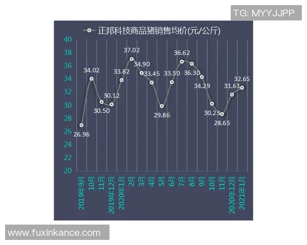 技术统计：维尼修斯近5场表现一览